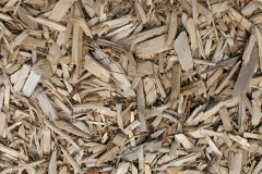 biomass boilers Painscastle